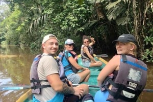 Parque Nacional de Tortuguero: passeio de canoa com motor elétrico