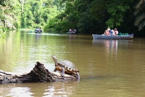 Tortuguero National Park Canoeing Tour