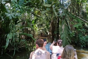 Tortuguero National Park Canoeing Tour