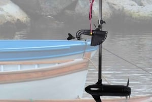 Tortuguero National Park: Electric Boat Tour