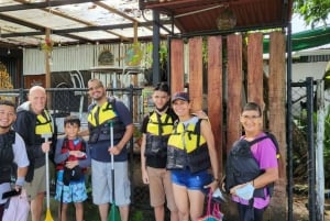 Tortuguero National Park: Electric Boat Tour