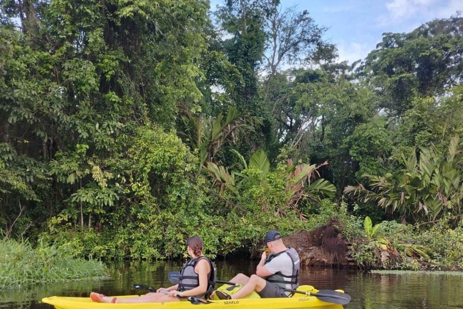 Tortuguero National Park: Kajaktur med guide