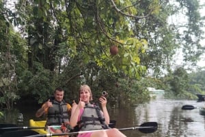 Parque Nacional Tortuguero: passeio de caiaque com guia