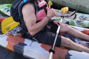 Tortuguero National Park: Kajaktur med guide