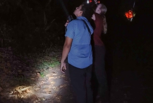 Tortuguero National Park: Night walk tour