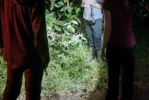 Tortuguero National Park: Night walk tour
