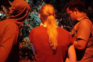 Tortuguero National Park: Night walk tour