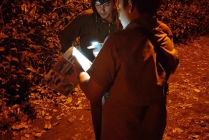 Tortuguero National Park: Night walk tour
