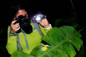 Tortuguero: Night Wildlife Spotting and Jungle Walk