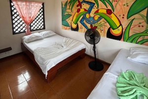 Tortuguero: One night in Tortuguero all inclusive.