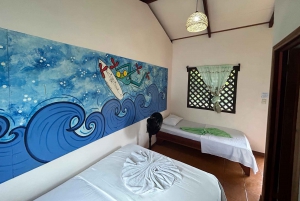 Tortuguero: One night in Tortuguero all inclusive.