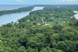 Tortuguero : Excursion dans la colline de Tortuguero (volcan endormi)