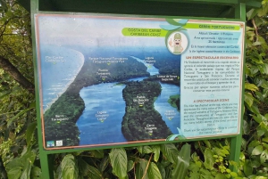 Tortuguero : Excursion dans la colline de Tortuguero (volcan endormi)