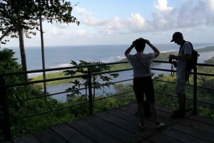 Tortuguero : Excursion dans la colline de Tortuguero (volcan endormi)
