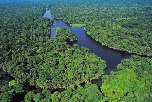 Tortuguero : Excursion dans la colline de Tortuguero (volcan endormi)