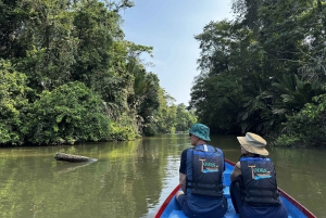 Tortuguero: Tour to the Canals in Tortuguero National Park
