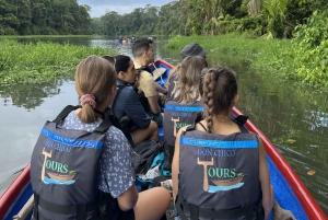 Tortuguero: Tour to the Canals in Tortuguero National Park