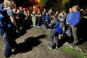 Tortuguero : excursion pour observer la nidification des tortues sur la plage de Tortuguero