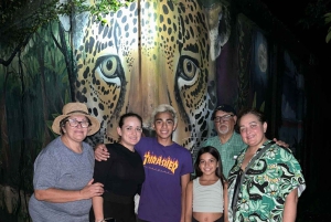 Tortuguero : excursion pour observer la nidification des tortues sur la plage de Tortuguero