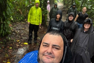 Trilogia selvagem de Tortuguero: canoa, trilhos e caminhada noturna