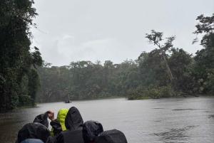Trilogia selvagem de Tortuguero: canoa, trilhos e caminhada noturna