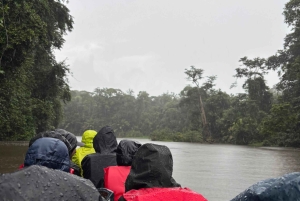Trilogia selvagem de Tortuguero: canoa, trilhos e caminhada noturna