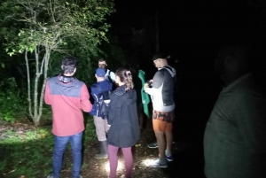 Tortuguero Night Walking Tour