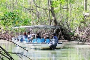 Tour in the mangroves of Quepos in Manuel Antonio by boat with monkeys