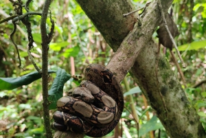 Rondvaart door de grachten