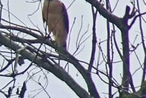 Rondvaart door de grachten