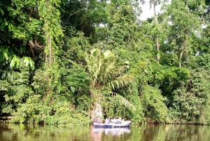 Rondvaart door de grachten