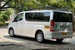 サンホセからトルトゥゲーロ（ラ・パボナ）までの交通手段