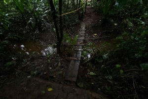 Verdadero tour nocturno por la jungla en la zona de Manuel Antonio