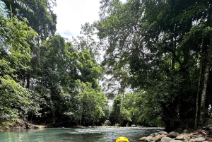 Тюбинг на Рио-Селесте: веселье, природные бассейны и свежие фрукты