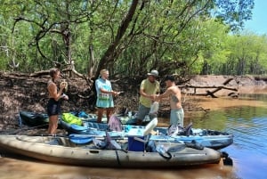 Kilpikonnien pesiminen/kuoriutuminen syrjäisellä rannalla lähellä Tamarindoa