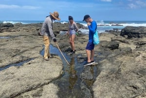 Kilpikonnien pesiminen/kuoriutuminen syrjäisellä rannalla lähellä Tamarindoa