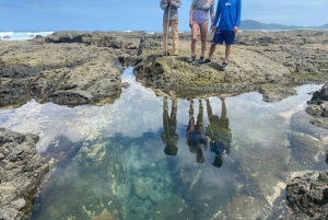 Kilpikonnien pesiminen/kuoriutuminen syrjäisellä rannalla lähellä Tamarindoa