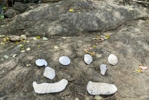 Kilpikonnien pesiminen/kuoriutuminen syrjäisellä rannalla lähellä Tamarindoa