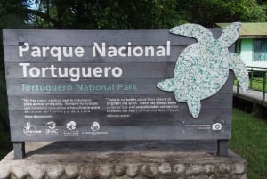 SCHILDPADDEN KIJKEN IN TORTUGUERO COSTA RICA