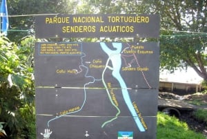 SCHILDPADDEN KIJKEN IN TORTUGUERO COSTA RICA