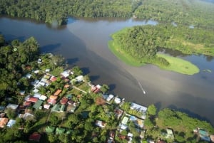 SCHILDPADDEN KIJKEN IN TORTUGUERO COSTA RICA