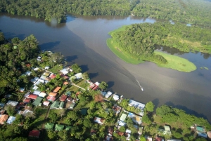 AVISTAMIENTO DE TORTUGAS EN TORTUGUERO COSTA RICA