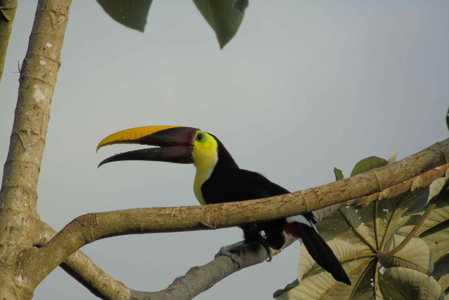 Twilight Tour in DrakeBay