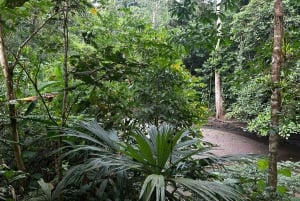 Twilight Tour in DrakeBay