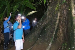 Twilight Tour in DrakeBay