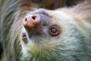 Passeios TWILIGHT em Arenal e aula de culinária de tortilhas