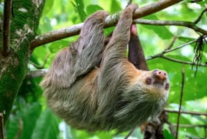 Passeios TWILIGHT em Arenal e aula de culinária de tortilhas