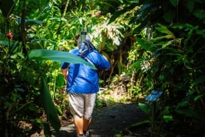 Passeios TWILIGHT em Arenal e aula de culinária de tortilhas
