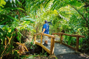Passeios TWILIGHT em Arenal e aula de culinária de tortilhas