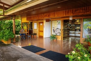 Passeios TWILIGHT em Arenal e aula de culinária de tortilhas